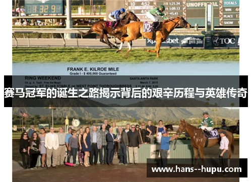 赛马冠军的诞生之路揭示背后的艰辛历程与英雄传奇