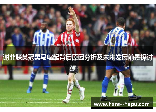 谢菲联英冠黑马崛起背后原因分析及未来发展前景探讨 谢菲联英冠黑马崛起背后原因分析及未来发展前景探讨