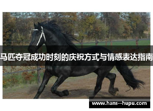 马匹夺冠成功时刻的庆祝方式与情感表达指南