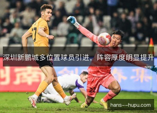 深圳新鹏城多位置球员引进，阵容厚度明显提升